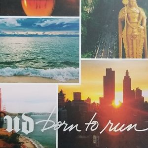 Urban Decay Born to Run Eyeshadow Palette